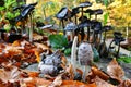 Old, dissolving Shaggy ink cap mushrooms Royalty Free Stock Photo