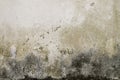 Old distressed wall background or texture Royalty Free Stock Photo