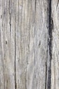 Old distressed wood Royalty Free Stock Photo