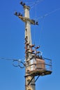 Old distribution transformer on concrete power pole Royalty Free Stock Photo