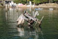 Old disused and derelict wooden loading piers in Sydney Harbour