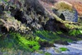 Old disused lime kiln on the sea shore