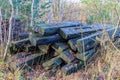 Old disused railway sleepers stacked between wild vegetation