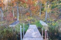 Old dock and boat on small remote lake in Northern Wisconsin with fall trees and fall color on shoreline