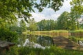 The old dock on the pond Royalty Free Stock Photo