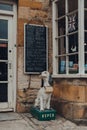 Old dog-shaped RSPCA charity collection box in from of a shop in Stow-on-the-Wold, Cotswolds, UK Royalty Free Stock Photo