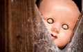 Old doll with eyes closed peering through a cobweb covered opening in a wooden door. Royalty Free Stock Photo