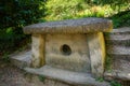 Dolmen. Table-stone in the forest