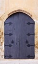 Old door Royalty Free Stock Photo