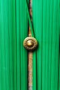 Old door and colorful green curtain Royalty Free Stock Photo