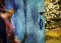 Old Door With Cracked Blue Paint On The Blossoming Apple Garden