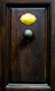 Old door with the door handle and nameplate without number Royalty Free Stock Photo