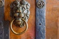 Old door with door knocker in a shape of a lion`s head Royalty Free Stock Photo