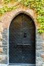 An old door, element of Italian architecture