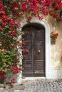 Old door Royalty Free Stock Photo