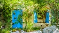 Old door, gate and garden window covered by overgrown green climbing ivy, rural nature green foliage photography. Vintage tone, Royalty Free Stock Photo