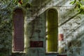 Old door, gate and garden window covered by overgrown green climbing ivy, rural nature green foliage photography. Vintage tone, Royalty Free Stock Photo