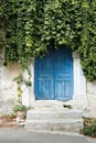 Old door on the Greek island of Crete covered in creepers