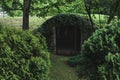 Old door in the ground in woods Royalty Free Stock Photo