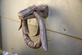 Old door knocker, ancient metal ring handle. Realistic set of rusty doorknobs. Royalty Free Stock Photo