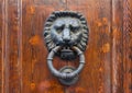 Old door knocker in Florence Royalty Free Stock Photo