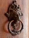Brass antique lion door handle in italy Royalty Free Stock Photo