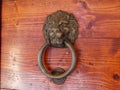 Brass antique lion door handle in italy Royalty Free Stock Photo