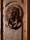 Brass antique lion door handle in italy Royalty Free Stock Photo