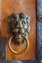 Old door with door knocker in shape of a lion`s head Royalty Free Stock Photo