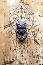 Old door knocker shaped like a lion Royalty Free Stock Photo