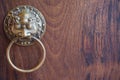 Old door knocker Royalty Free Stock Photo