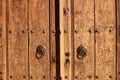 Old door with knockers Royalty Free Stock Photo
