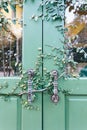 Old door locked with vine cover the door Royalty Free Stock Photo