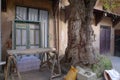 Old door in morocco Casablanca also old tree and tree table, looking as if its organ Royalty Free Stock Photo