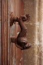 Old doorhandle in the form of a fish Royalty Free Stock Photo