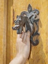 An old doorknocker Royalty Free Stock Photo