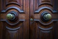 Old doors of the city of Valletta. Malta.