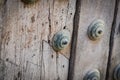 Old doors close up view Royalty Free Stock Photo