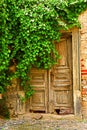 Old doors under tree - colored Royalty Free Stock Photo