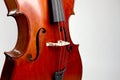 Old double bass c bout and belly on white background Royalty Free Stock Photo