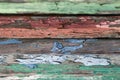 Old dried paint on wooden planks, red, green, blue Royalty Free Stock Photo