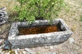 Old drinking trough for livestock