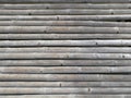 Old and dry bamboo wood background
