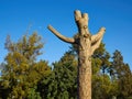 Old dry dead tree opposite lush green area