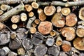 Old dry sawn logs in a heap. Stack of logs. Background of cut stumps. Firewood for cooking or heating Royalty Free Stock Photo