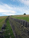 Old dry stone stone wall in the yorkshire moors Royalty Free Stock Photo