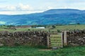 Old dry stone wall in welsh countryside, mountains in background Royalty Free Stock Photo