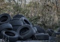 Old dumped tires Royalty Free Stock Photo