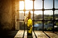 Old, dusty bottle of wine on the windowsill, sunlight.
