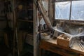 Old dusty DIY workshop abandoned with cobwebs, as if frozen in time.